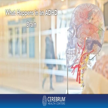 Cerebrum Dallas Tells You What Happens in an ADHD Brain 