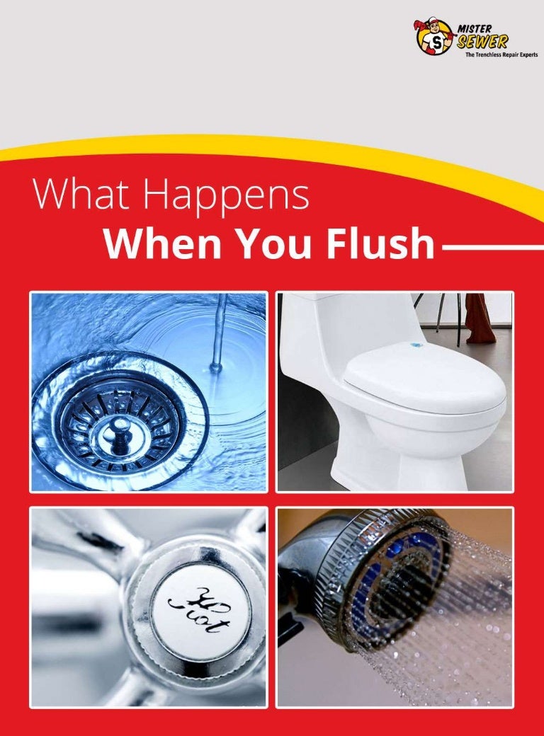 What Happens When You Flush