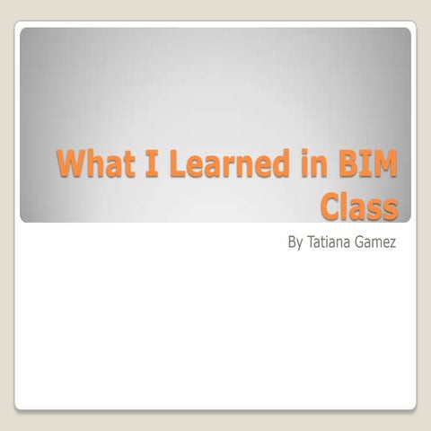 What i learned in bim class