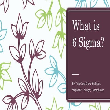 What is the definition of the 6 Sigma?