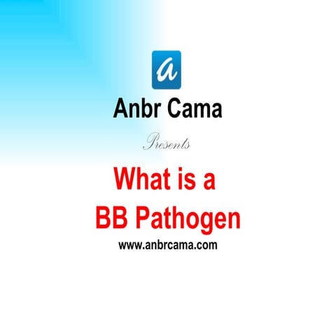 Bloodborne Pathogens - Diseases and Transmission | PPTX