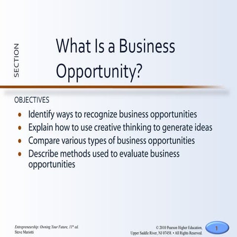 What is a business opportunity