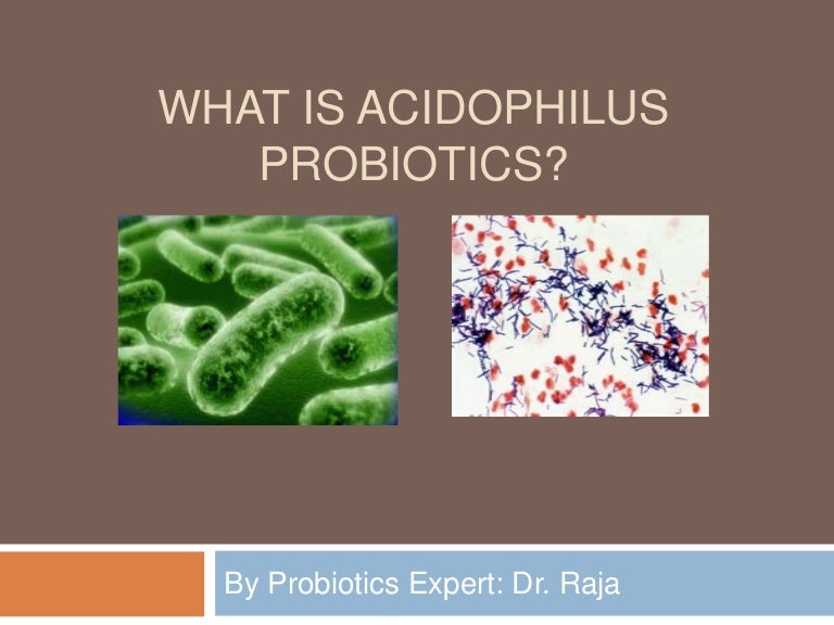 What Are Acidophilus Probiotics