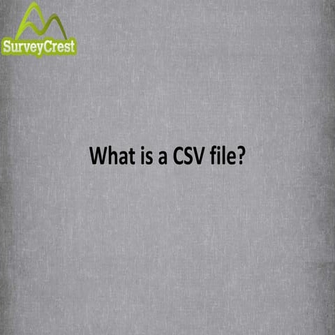 What is a CSV File