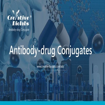 What is ADC? - Creative Biolabs