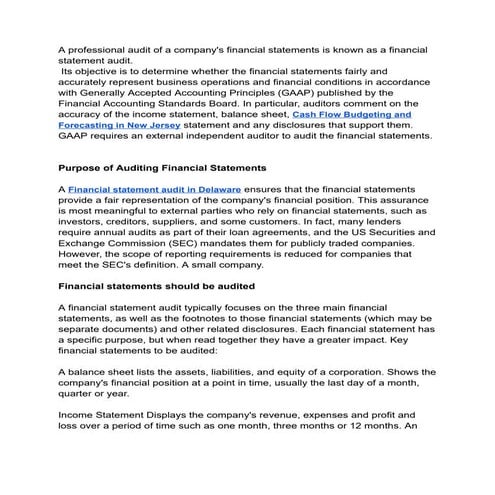 What is a financial statement audit.pdf