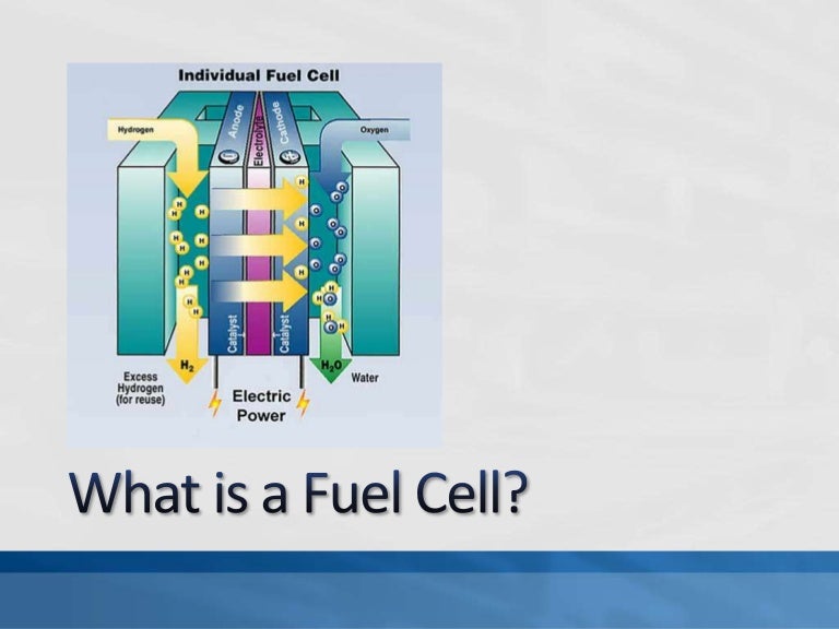 What is a fuel cell