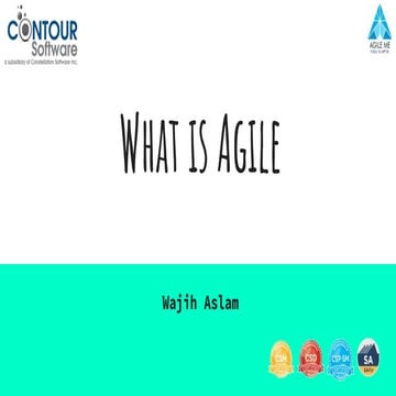 Agility, Agile Manifesto principles and practices at Contour Software