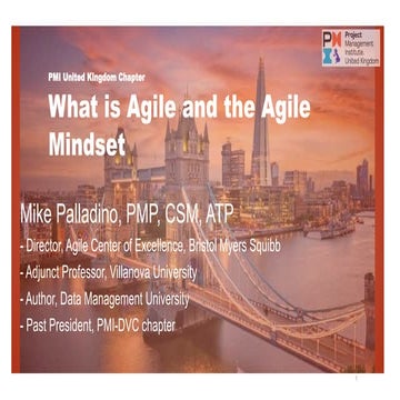 What is Agile and the Agile Mindset