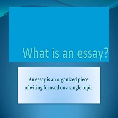 What is an essay