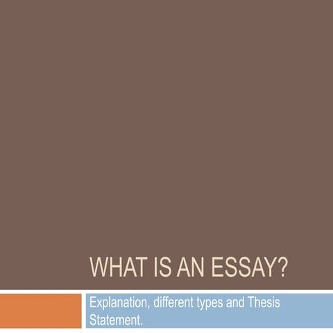 What is an essay