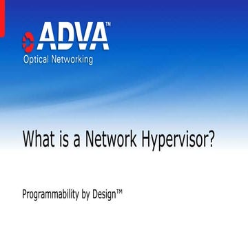 What is a Network Hypervisor?
