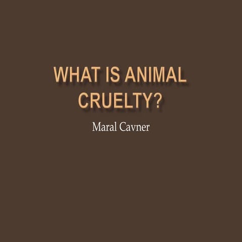 What is Animal Cruelty? 