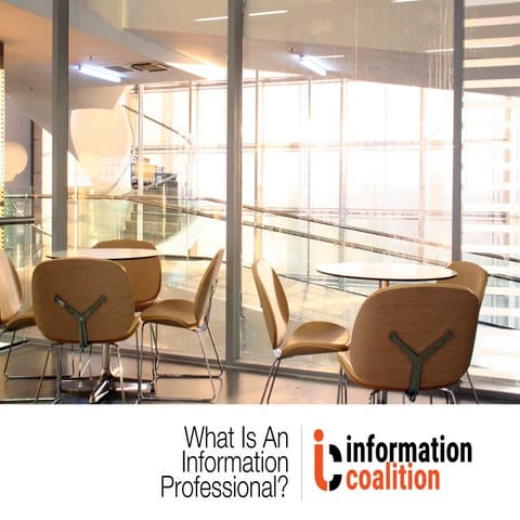 What is an Information Professional?