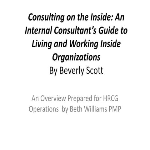 What is an internal consultant