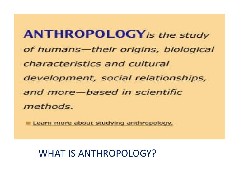 What is anthropology