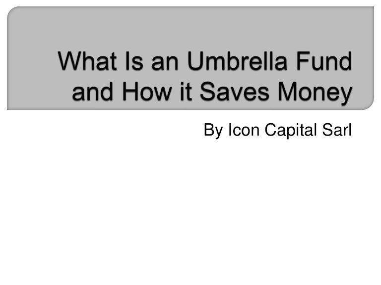 What Is an Umbrella Fund and How it Saves Money