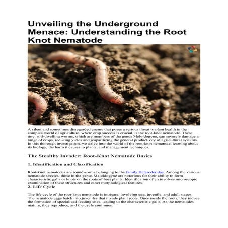 What is a Root-knot Nematode? Deep Understanding | The Lifesciences Magazine
