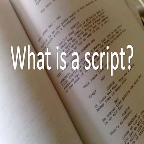 What is a script