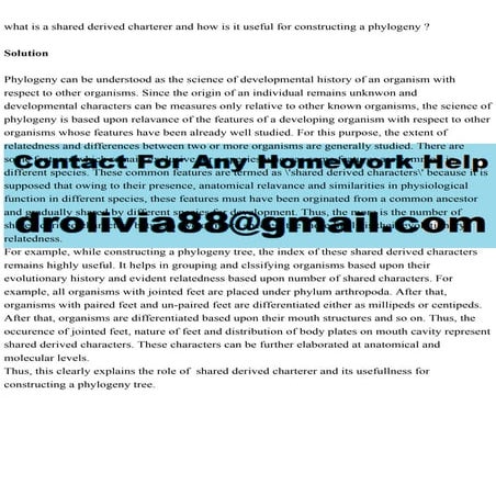 what is a shared derived charterer and how is it useful for construc.pdf