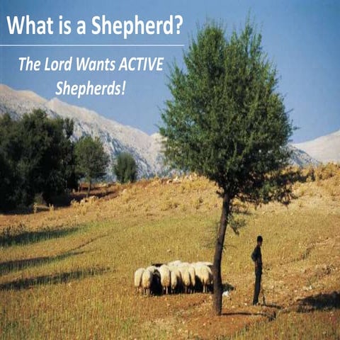 What is a Shepherd? | PPTX