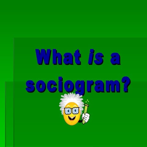 What is a Sociogram?