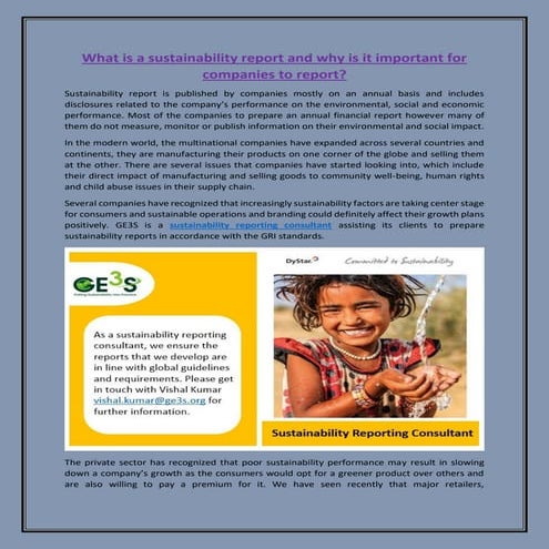 What is a sustainability report and why is it important for companies ...