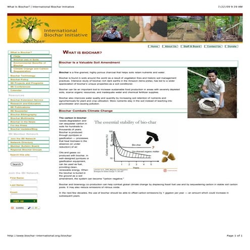 What Is Biochar Pdf