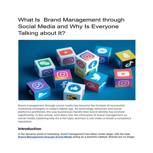The Art of Social Media Management.pdf