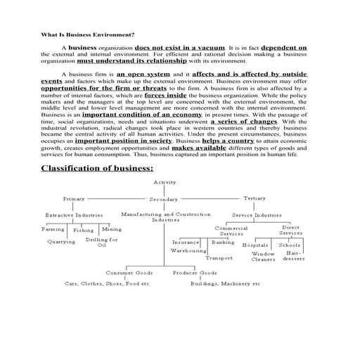 What is business environment