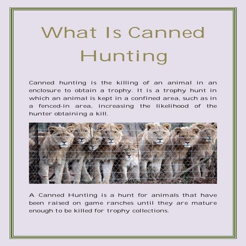 Canned hunting | PPTX