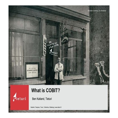 What is Cobit