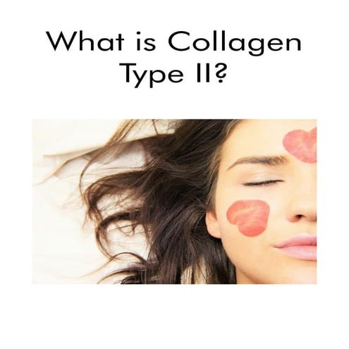 What is Collagen Type II..pdf