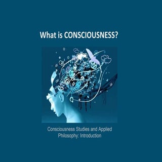 What is consciousness?