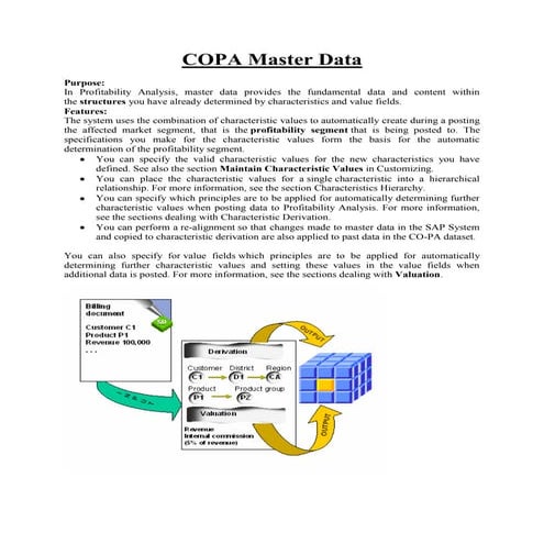What is copa master data
