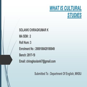 What is cultural studies