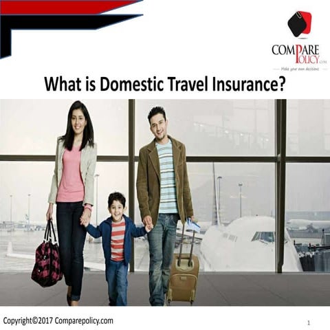 What is Domestic Travel Insurance | PPTX