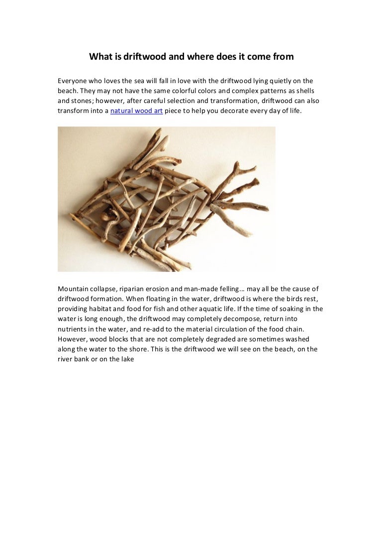 What is driftwood and where does it come from