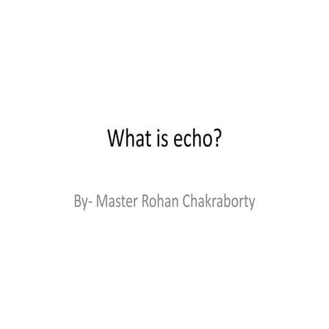 What is echo