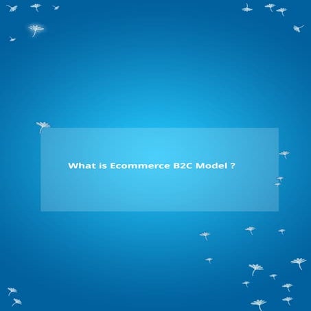 What Is Ecommerce B2C Model ?
