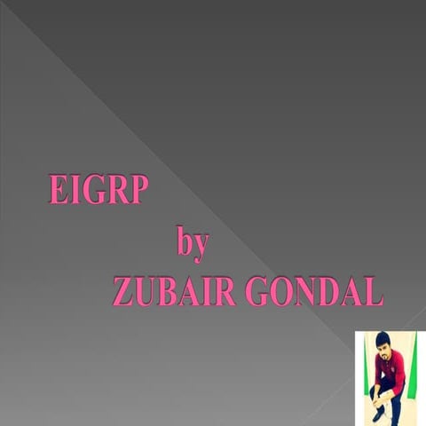 What is EGRP