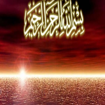 What is Environment? Types and components of environment.