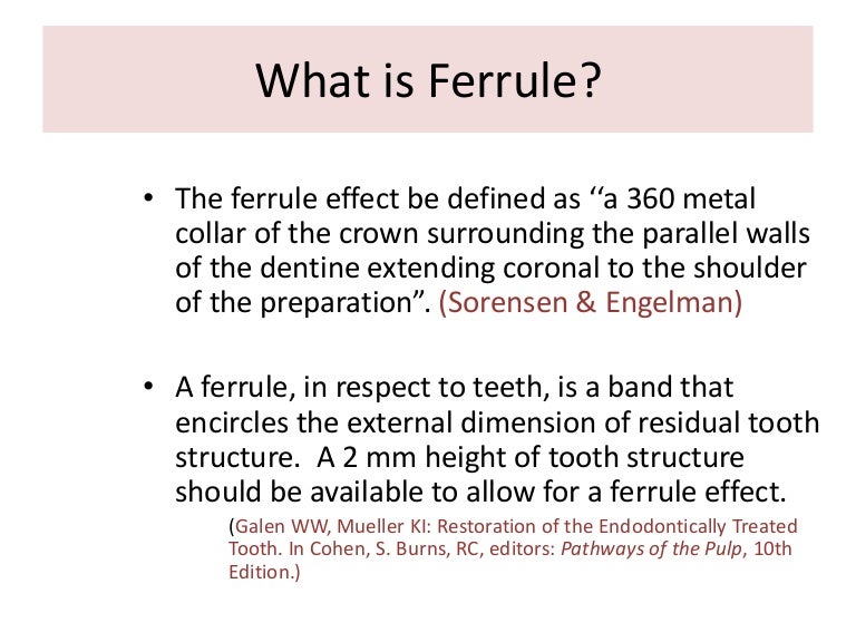 What is ferrule