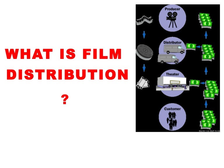 What is film distribution