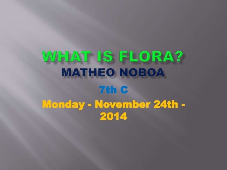 What is flora