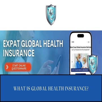 What Is Global Health Insurance.pdf