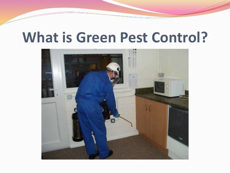 What is Green Pest Control?