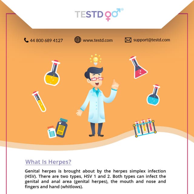 What Is Herpes and How Do I Catch Herpes? PDF