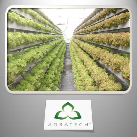 What is Hydroponics?