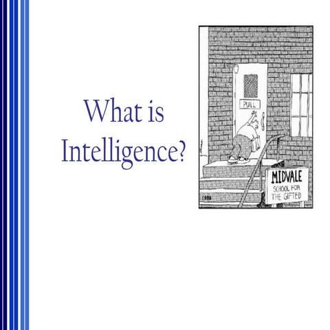 What is intelligence ?